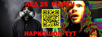 индика Гагарин