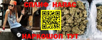 трава Гатчина