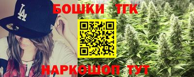 индика Гагарин