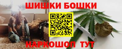 индика Гагарин