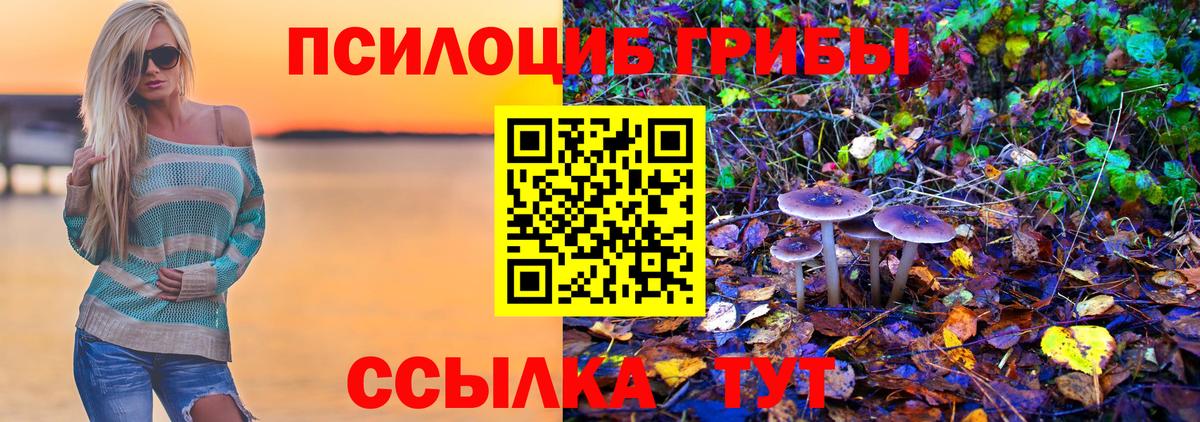 Галлюциногенные грибы Psilocybe  Вход с VPN  Псилоцибиновые грибы MAGIC MUSHROOMS  Добрянка 